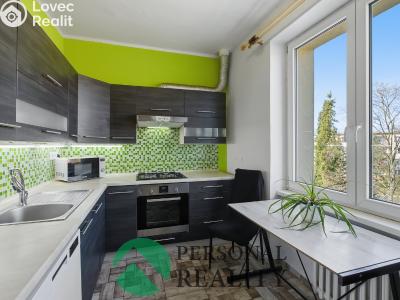 Prodej bytu 3+1 Žatec, Podměstí č. 4