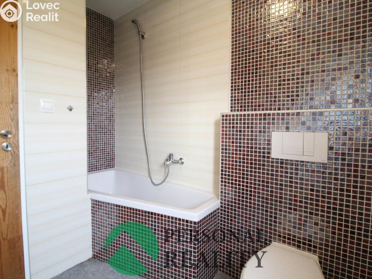 Rent apartment 2+1 Svatava, Pobřežní č. 5