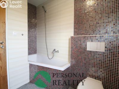 Rent apartment 2+1 Svatava, Pobřežní č. 5