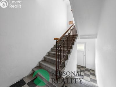 Prodej vily Chomutov, Alešova č. 5