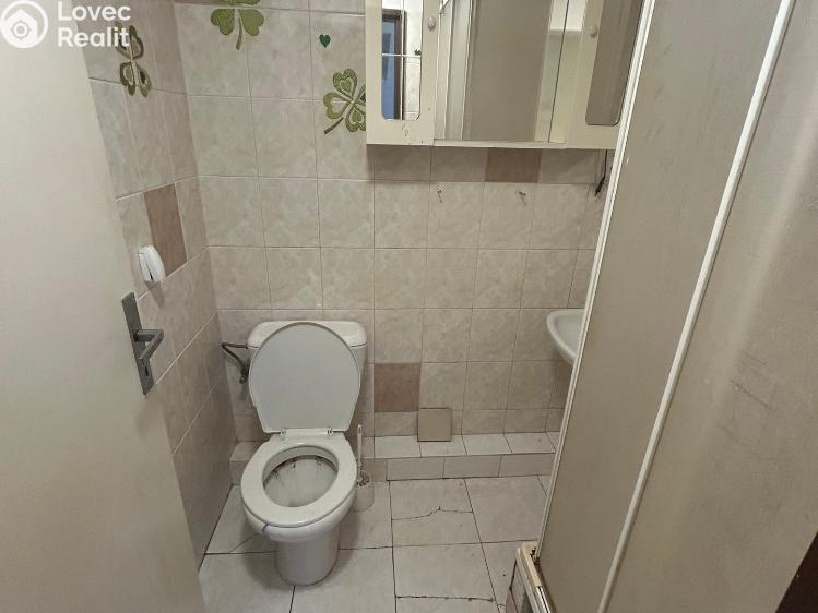 Pronájem bytu 1+KK Neratovice, Hlavní č. 5