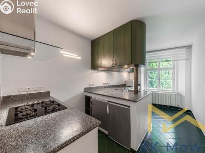 Pronájem bytu 4+1 Praha, Vlašská č. 1