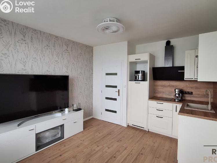 Pronájem bytu 1+KK Ústí nad Labem, Malátova č. 1