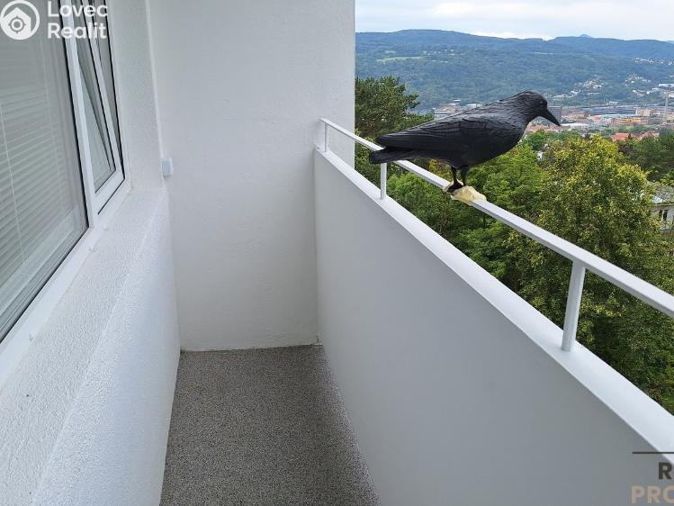 Pronájem bytu 1+KK Ústí nad Labem, Malátova č. 6