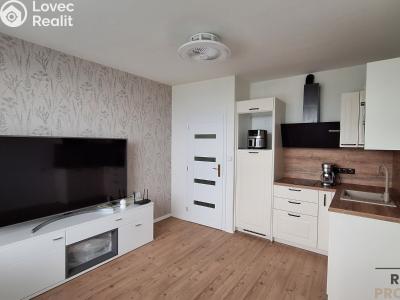 Pronájem bytu 1+KK Ústí nad Labem, Malátova č. 1