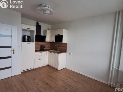 Pronájem bytu 1+KK Ústí nad Labem, Malátova č. 2