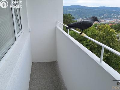 Pronájem bytu 1+KK Ústí nad Labem, Malátova č. 6