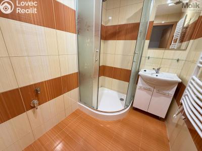 Pronájem bytu 2+1 Osek, Hrdlovská č. 4