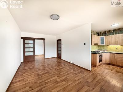 Pronájem bytu 2+1 Osek, Hrdlovská č. 6