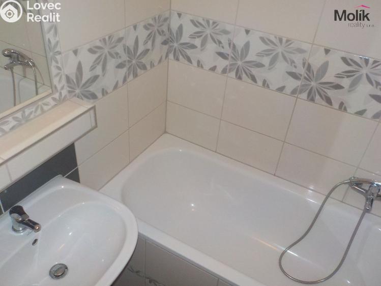 Pronájem bytu 3+1 Teplice, Skupova 1256 č. 4