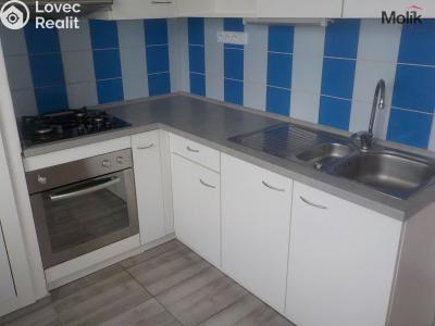 Pronájem bytu 3+1 Teplice, Skupova 1256 č. 3