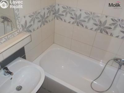 Pronájem bytu 3+1 Teplice, Skupova 1256 č. 4