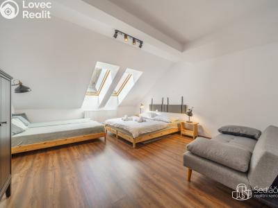 Продажа квартиры 3+KK Jáchymov, K Lanovce č. 4