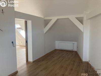 Pronájem bytu 3+KK Hodonín, Měšťanská č. 6