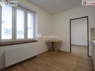 Pronájem bytu 1+1 Dalovice, Májová č. 3