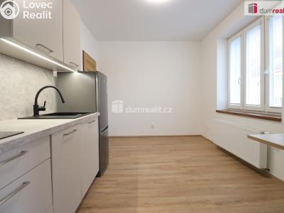 Аренда квартиры 1+1 Dalovice, Májová č. 25