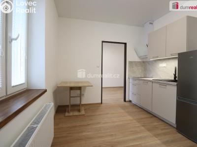Pronájem bytu 1+1 Dalovice, Májová č. 2