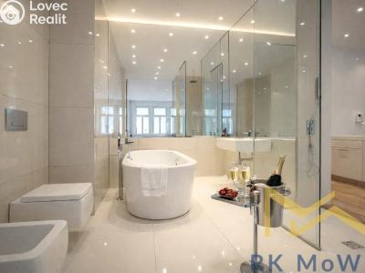 Pronájem bytu 3+KK Praha, Laubova č. 4