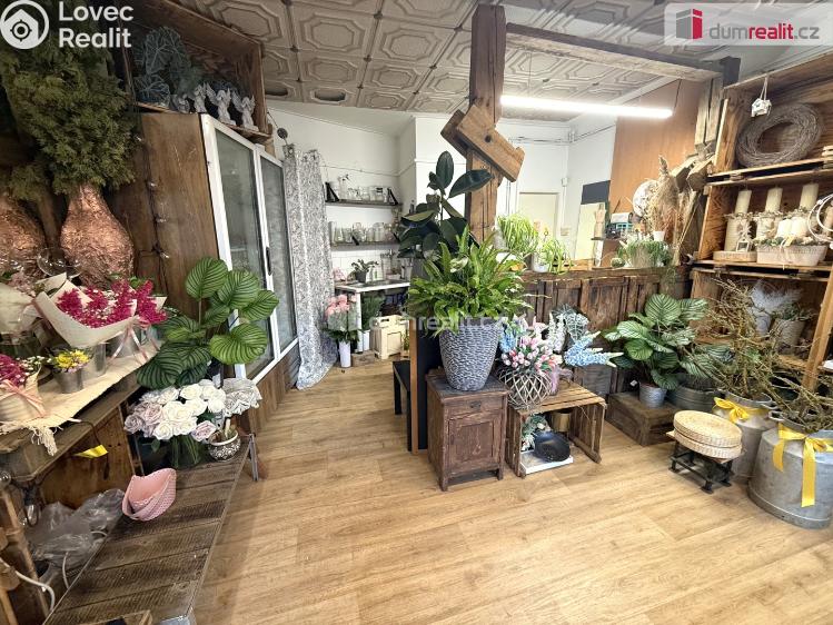 Pronájem obchodního prostoru Zlín, Masarykova č. 4