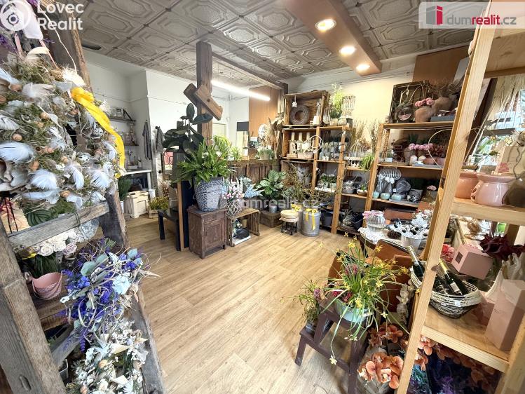 Pronájem obchodního prostoru Zlín, Masarykova č. 5