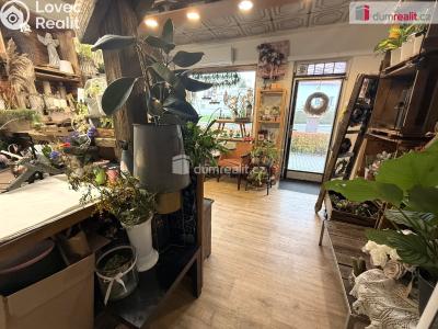 Pronájem obchodního prostoru Zlín, Masarykova č. 3