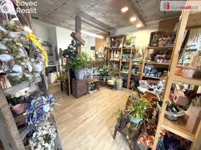 Pronájem obchodního prostoru Zlín, Masarykova č. 5