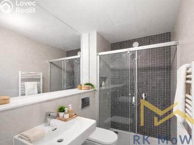 Pronájem rodinného domu Praha, V Šáreckém údolí č. 5