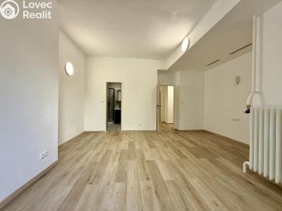Продаж квартири 1+1 Praha, 5. května č. 13