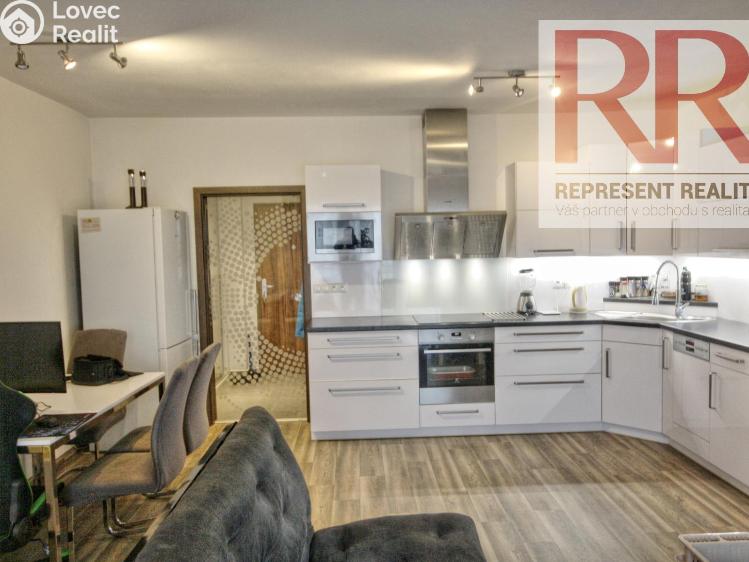 Pronájem bytu 1+KK Plzeň, U Borských kasáren č. 5