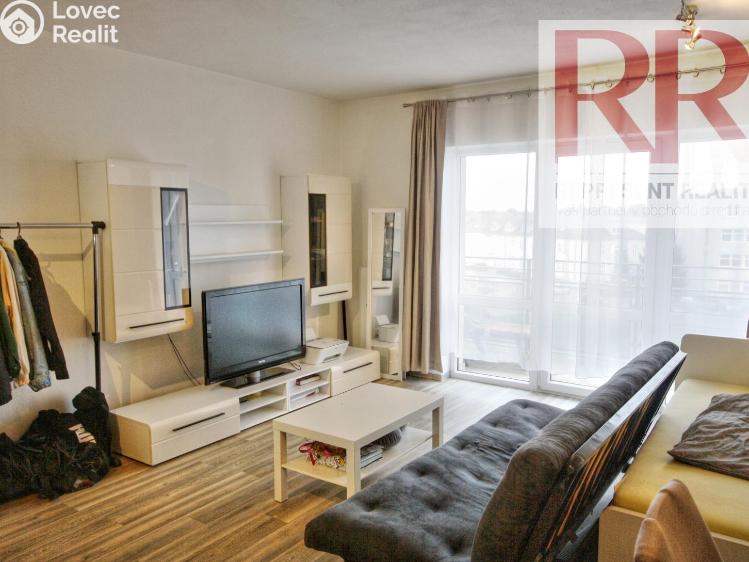 Pronájem bytu 1+KK Plzeň, U Borských kasáren č. 7