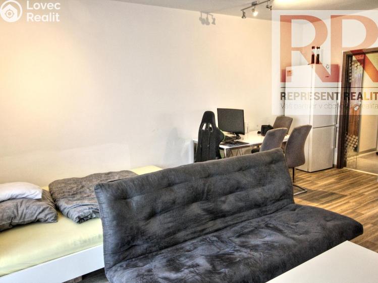 Pronájem bytu 1+KK Plzeň, U Borských kasáren č. 8