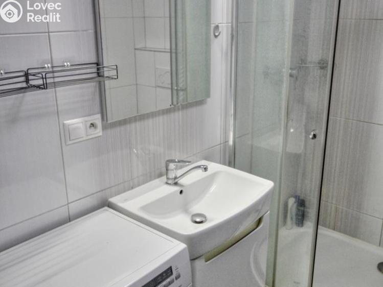 Pronájem bytu 1+KK Plzeň, U Borských kasáren č. 9