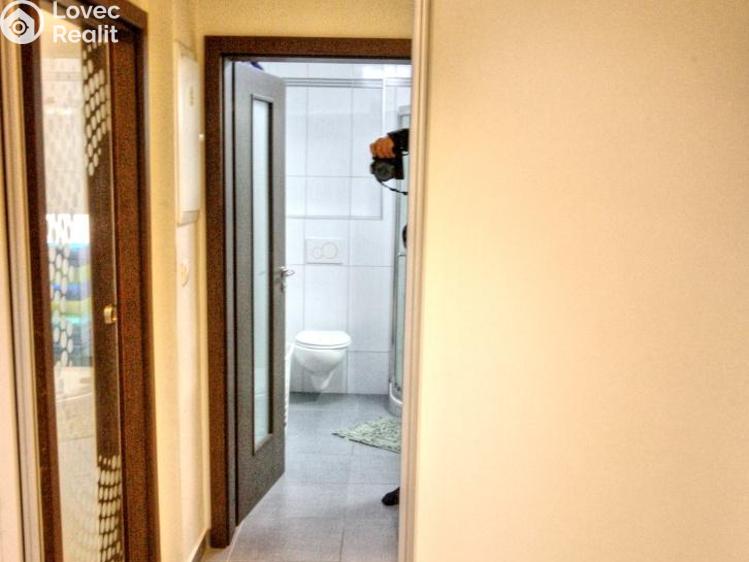 Pronájem bytu 1+KK Plzeň, U Borských kasáren č. 12