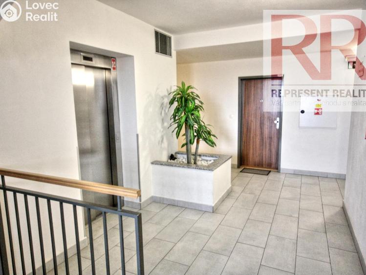 Pronájem bytu 1+KK Plzeň, U Borských kasáren č. 15