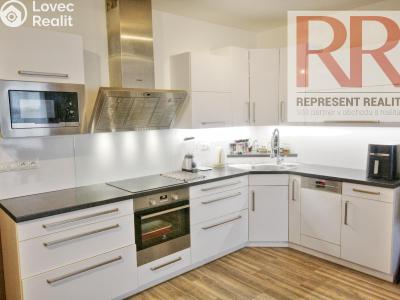 Pronájem bytu 1+KK Plzeň, U Borských kasáren č. 1