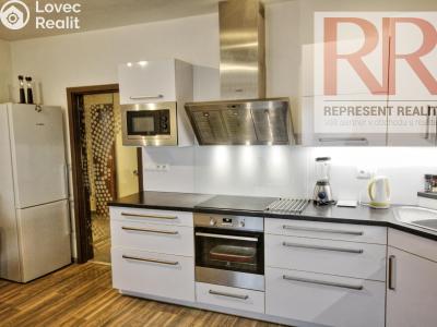 Pronájem bytu 1+KK Plzeň, U Borských kasáren č. 4