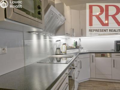 Pronájem bytu 1+KK Plzeň, U Borských kasáren č. 6