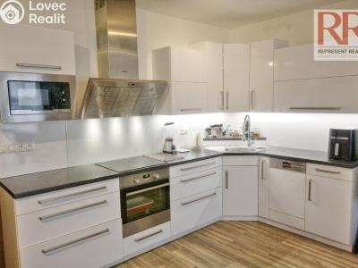 Оренда квартири 1+KK Plzeň, U Borských kasáren č. 17