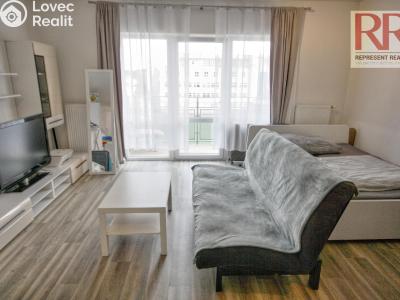 Оренда квартири 1+KK Plzeň, U Borských kasáren č. 1