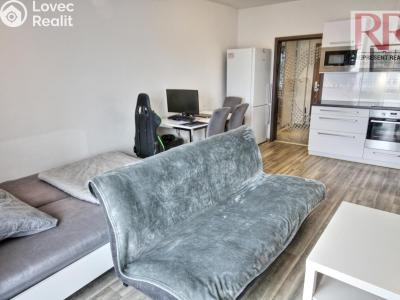 Оренда квартири 1+KK Plzeň, U Borských kasáren č. 2