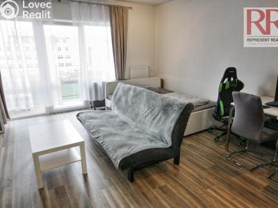 Оренда квартири 1+KK Plzeň, U Borských kasáren č. 3