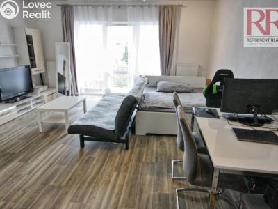 Оренда квартири 1+KK Plzeň, U Borských kasáren č. 4