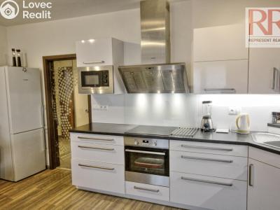Оренда квартири 1+KK Plzeň, U Borských kasáren č. 5