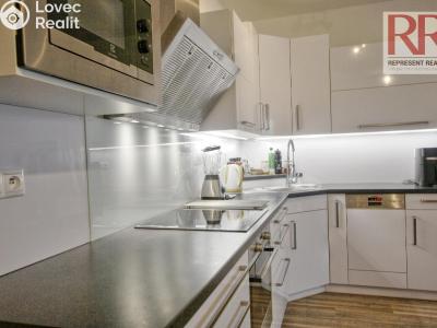 Оренда квартири 1+KK Plzeň, U Borských kasáren č. 6