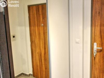 Оренда квартири 1+KK Plzeň, U Borských kasáren č. 7