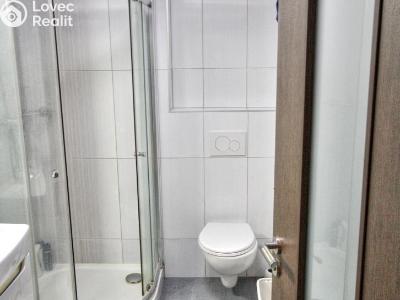 Оренда квартири 1+KK Plzeň, U Borských kasáren č. 8