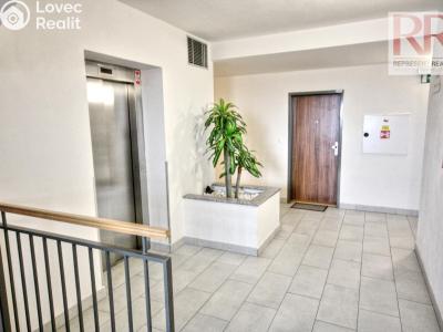 Оренда квартири 1+KK Plzeň, U Borských kasáren č. 13