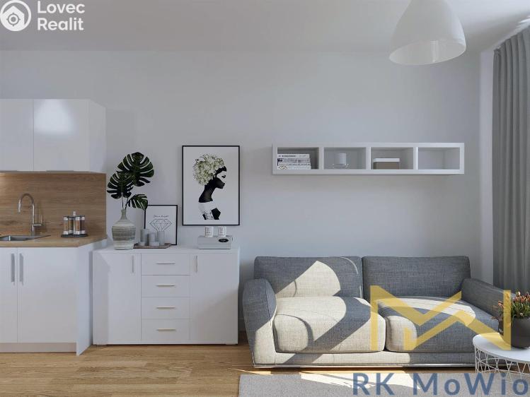 Pronájem bytu 1+KK Praha, Petrská č. 2