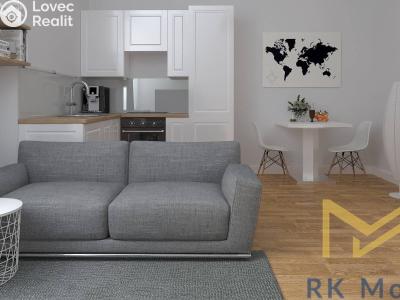 Pronájem bytu 1+KK Praha, Petrská č. 5