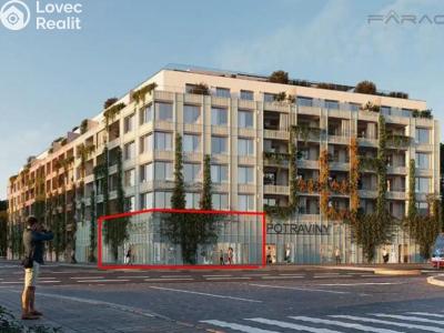 Pronájem kanceláře Praha, Průběžná č. 1